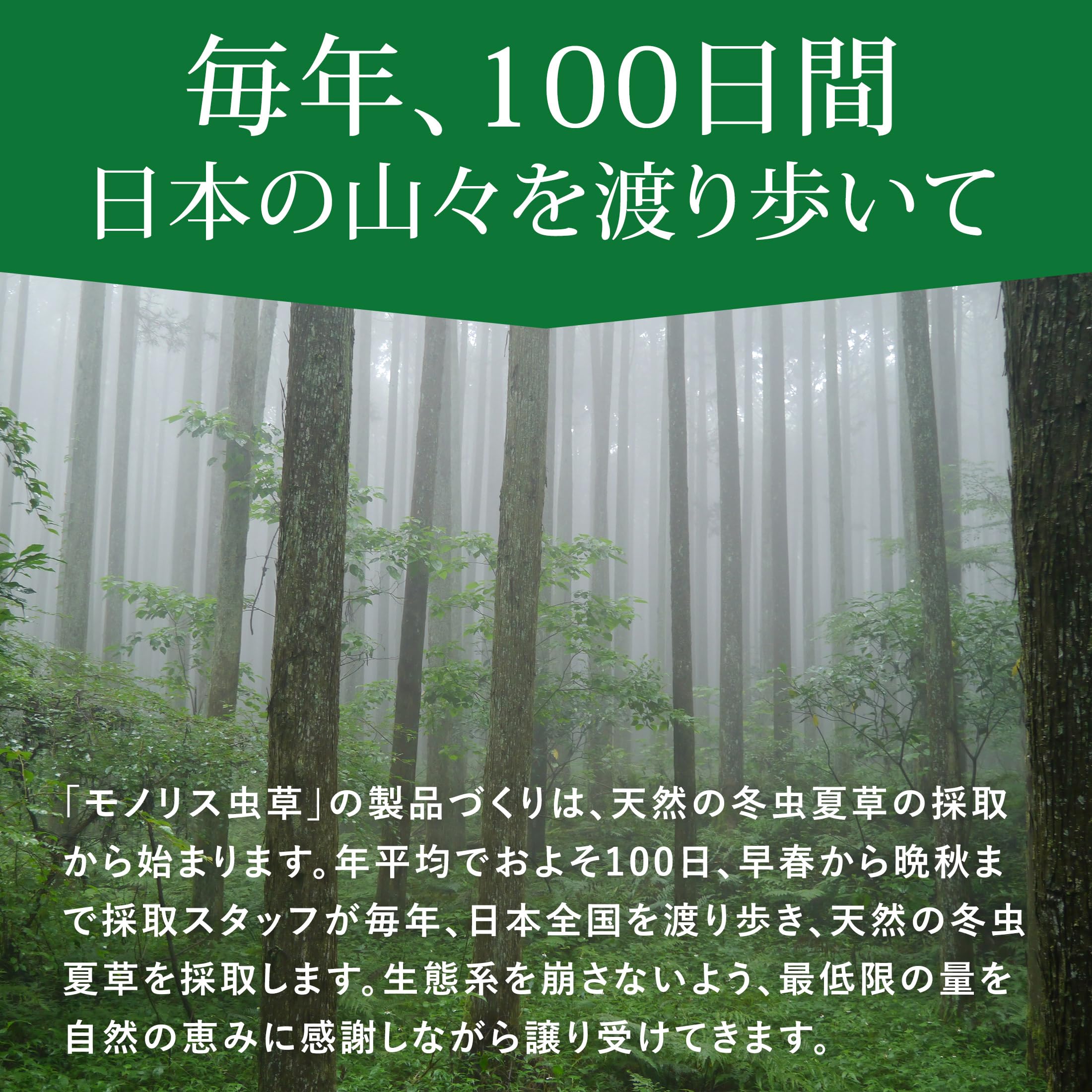 モノリス虫草　2個セット 冬虫夏草 サプリ サプリメント 健康食品 日本産 シニア 免活 サポート